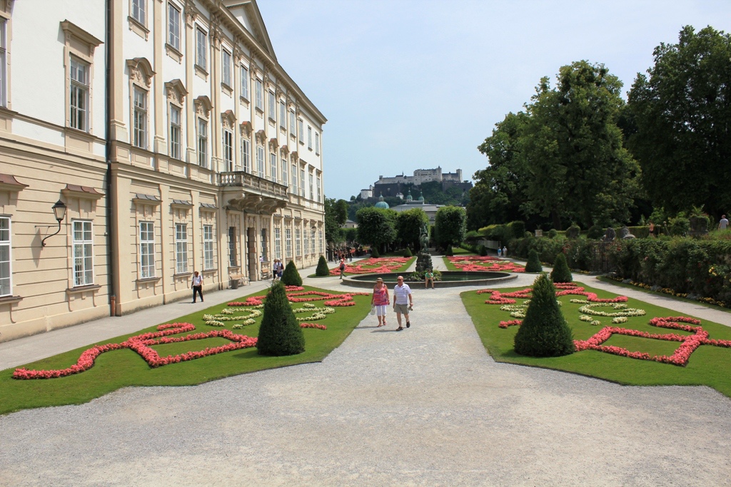 IMG_7154.JPG IMG_7154.JPG