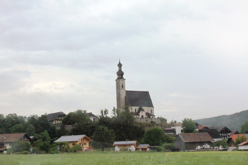 IMG_7342.JPG IMG_7342.JPG