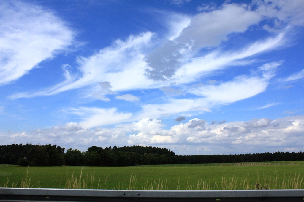 IMG_7437.JPG IMG_7437.JPG