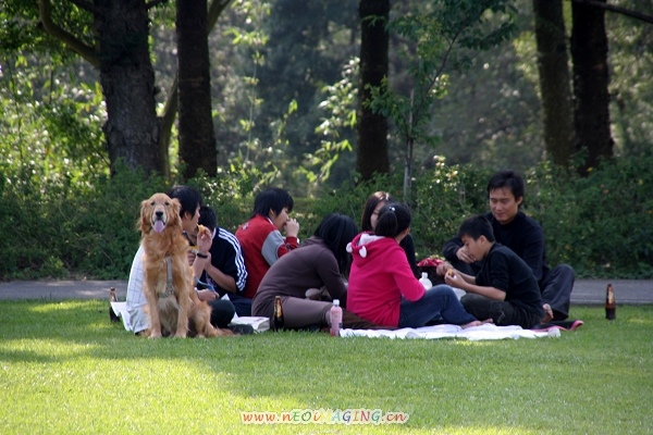 渴望園區 8.jpg 渴望園區 8.jpg