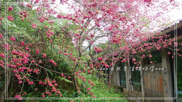 大山背人文生態館