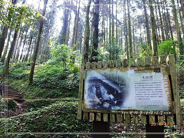 東眼山國家森林遊樂區