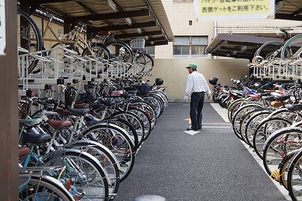 DSC00133.JPG DSC00133.JPG