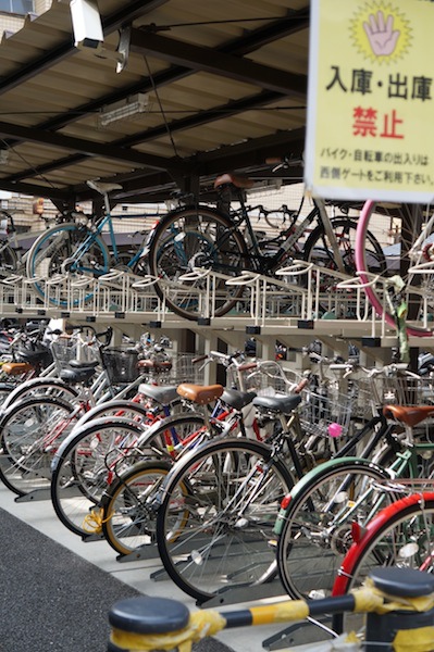 DSC00134.JPG DSC00134.JPG