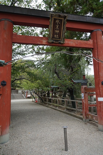 DSC00313.JPG DSC00313.JPG