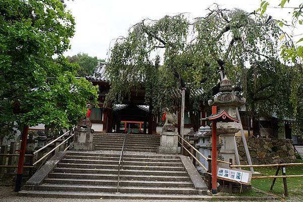 DSC00315.JPG DSC00315.JPG