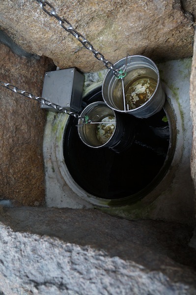 DSC00316.JPG DSC00316.JPG