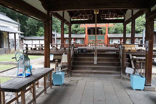 DSC00317.JPG DSC00317.JPG