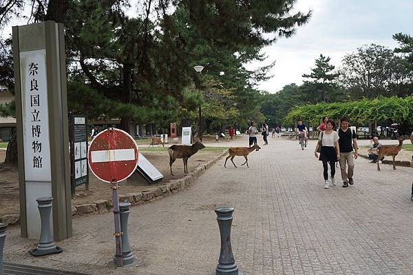 DSC00322.JPG DSC00322.JPG