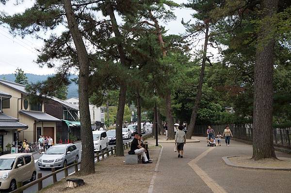 DSC00327.JPG DSC00327.JPG