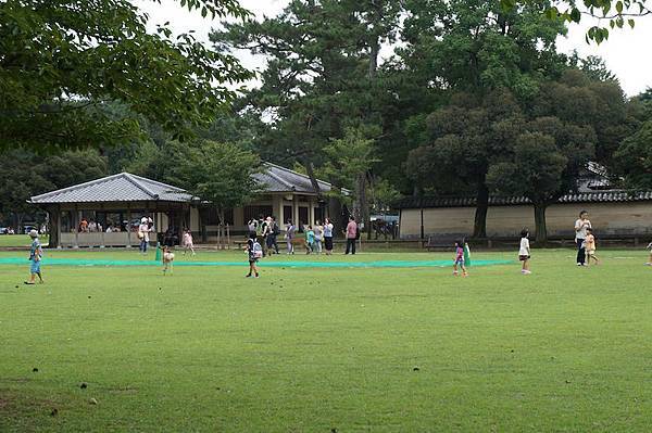 DSC00332.JPG DSC00332.JPG