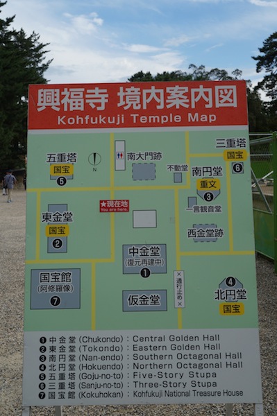 DSC00342.JPG DSC00342.JPG