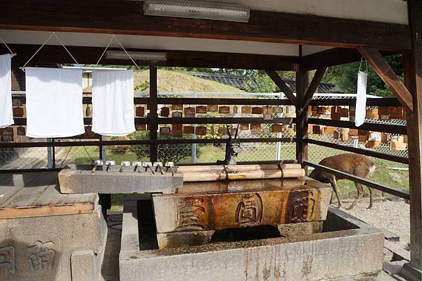 DSC00347.JPG DSC00347.JPG