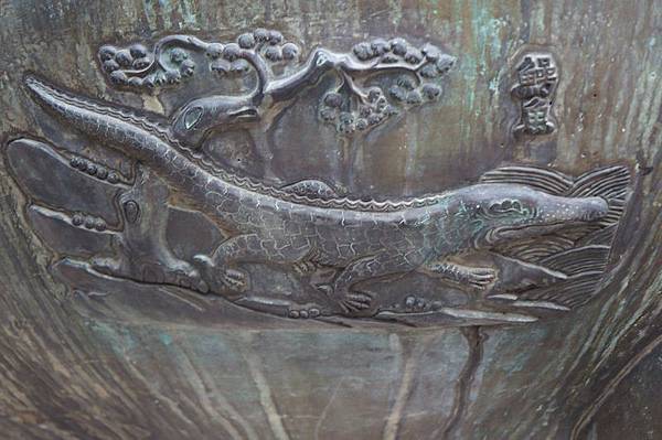 DSC02795.JPG DSC02795.JPG