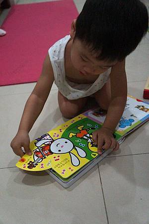 DSC01518.JPG DSC01518.JPG