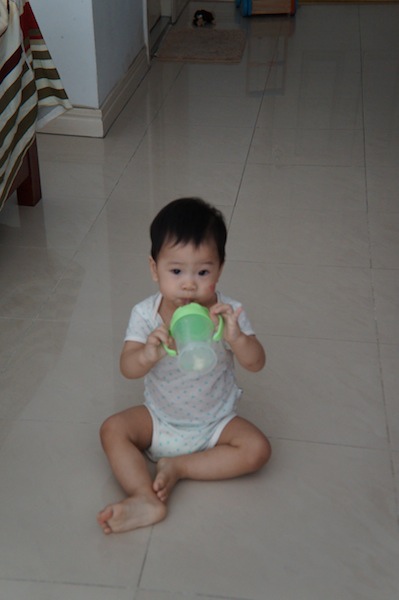 DSC01453.JPG DSC01453.JPG