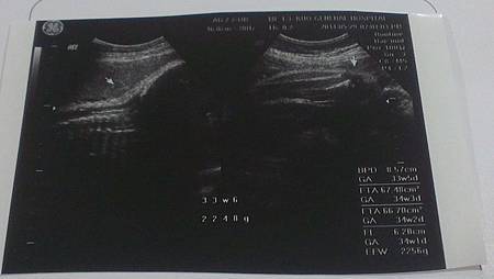 IMAG4952.jpg IMAG4952.jpg