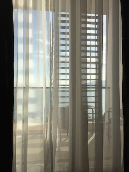 IMG_1555.jpg IMG_1555.jpg