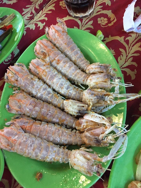 IMG_1704.jpg IMG_1704.jpg