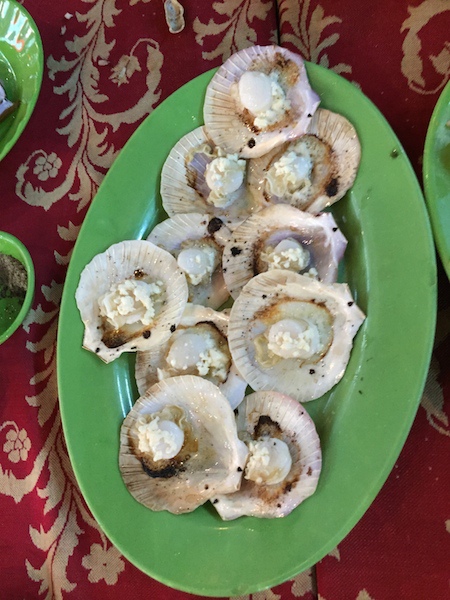 IMG_1705.jpg IMG_1705.jpg