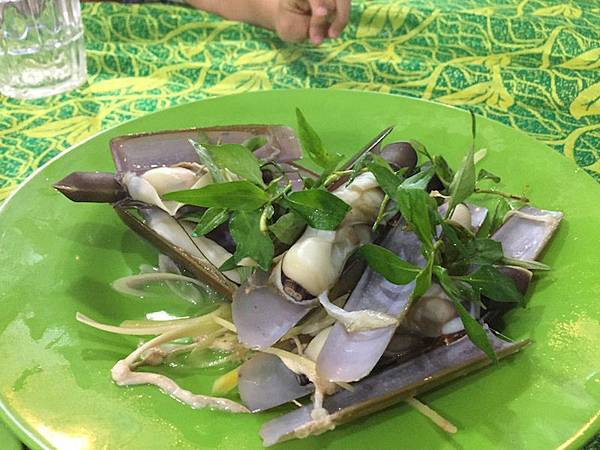 IMG_1869.JPG IMG_1869.JPG