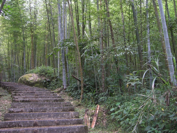 走過 走過