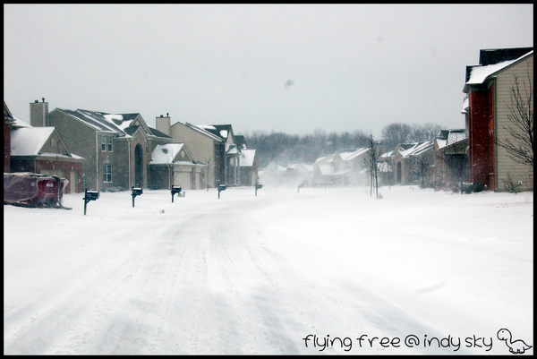 DSC_0008_2_2.jpg DSC_0008_2_2.jpg