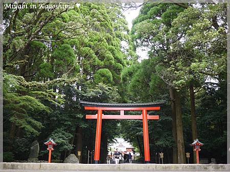 霧島神社1 霧島神社1