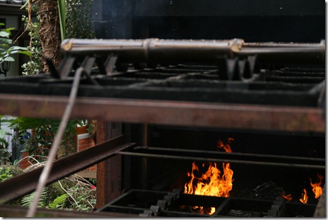IMG_6341 IMG_6341