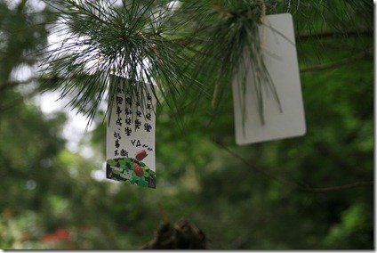 IMG_6451 IMG_6451