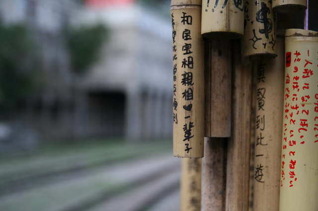 和寶寶相親相愛一輩子 和寶寶相親相愛一輩子