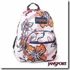 clip_image017 clip_image017