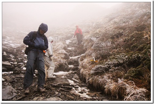59不得向硬雪低頭 59不得向硬雪低頭