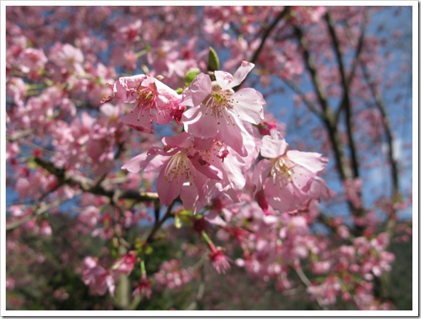 IMG_0001 IMG_0001