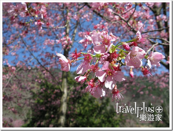 IMG_0003 IMG_0003