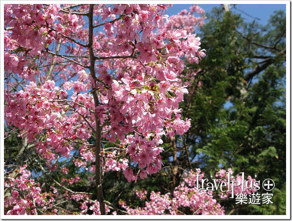IMG_0007 IMG_0007