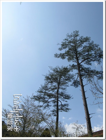 IMG_9779 IMG_9779
