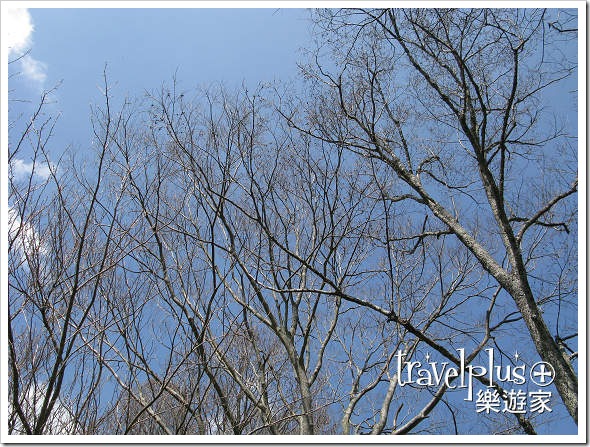 IMG_9899 IMG_9899