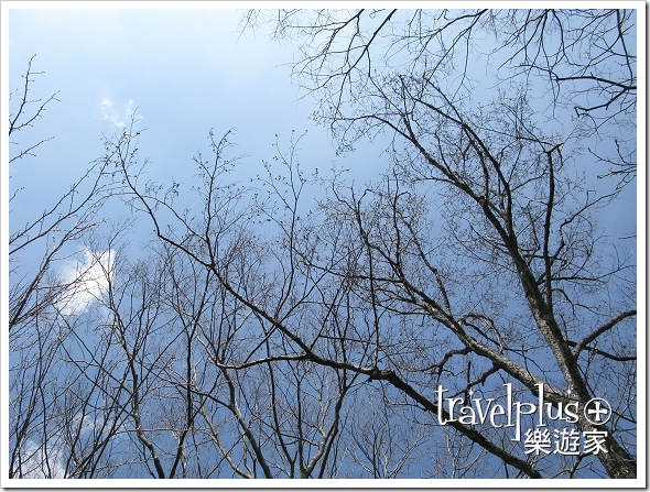 IMG_9900 IMG_9900