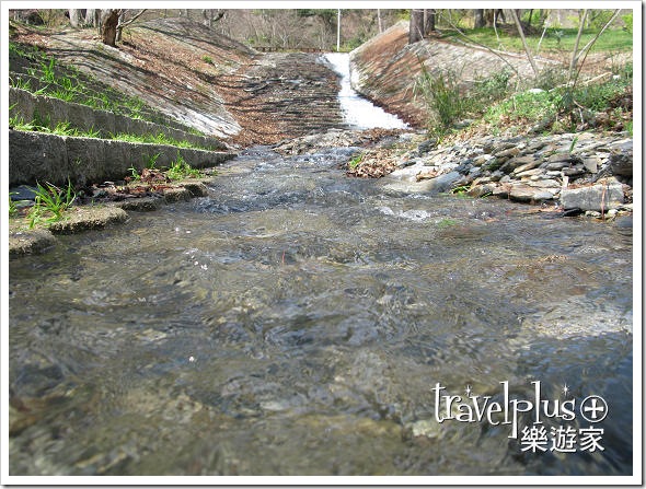 IMG_9905 IMG_9905