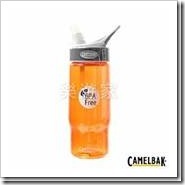 clip_image020 clip_image020