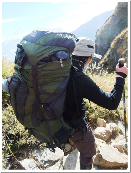 clip_image006 clip_image006