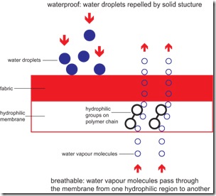 clip_image003 clip_image003
