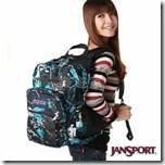 clip_image015 clip_image015