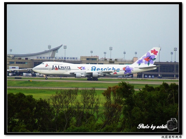 日本航空JA8150紫花鳥彩繪飛機.jpg 日本航空JA8150紫花鳥彩繪飛機.jpg