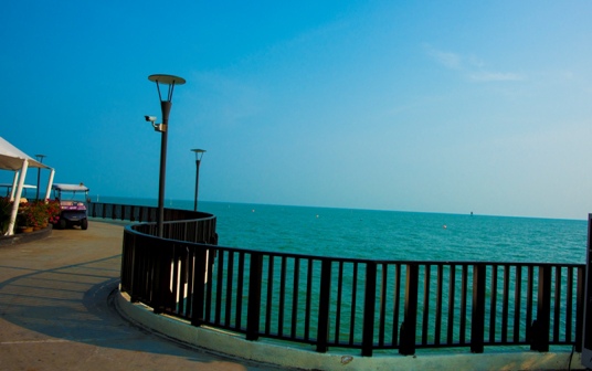 DSC07862.JPG DSC07862.JPG