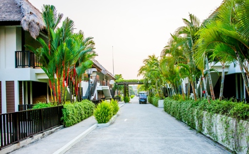 DSC07887.JPG DSC07887.JPG