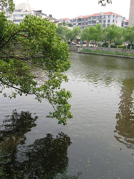 IMG_3777.JPG IMG_3777.JPG