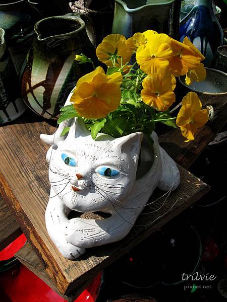 IMG_1537_n IMG_1537_n