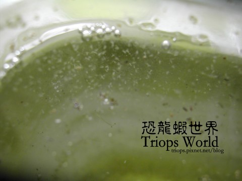DSCN1946.JPG DSCN1946.JPG